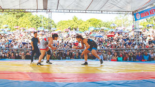 Hấp dẫn đấu vật