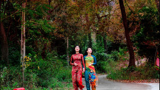 Rừng phong trên núi Tam Ban