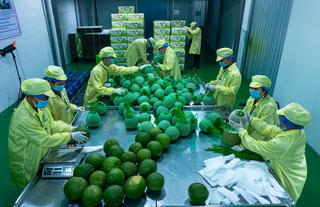 Nâng sức cạnh tranh cho trái cây Việt