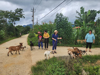 Trao 'cần câu' giúp người nghèo vươn lên