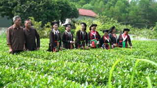 Thái Nguyên: Ban hành Nghị quyết về chính sách hỗ trợ đất đai đối với đồng bào dân tộc thiểu số