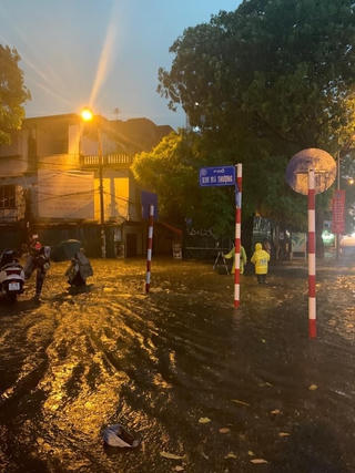 Hà Nội: Gần 100 ha hoa màu ảnh hưởng sau trận mưa ngày 5/7