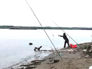 Câu cá sông Hồng