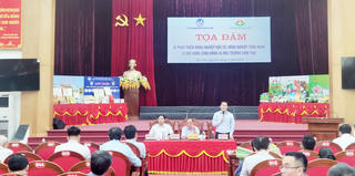 Thu hút doanh nghiệp có tâm – tầm đưa nông nghiệp hữu cơ Kỳ Anh phát triển