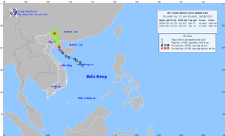 Hải Phòng: Chủ động ứng phó với áp thấp nhiệt đới