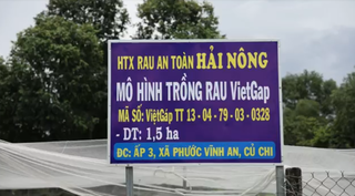 TP HCM: Phát huy vai trò của Hội Nông dân trong phát triển Hợp tác xã nông nghiệp