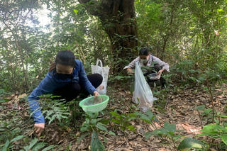 ‘Lộc rừng’ ở Chí Linh