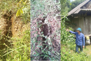 Quảng Bình: Di dời 13 hộ dân do xuất hiện vết nứt có nguy cơ sạt lở đồi