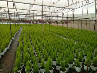 Đầu tư phát triển nông nghiệp công nghệ cao- Chính sách đúng của Agribank