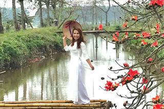 Tháng Ba, rực rỡ mùa hoa gạo