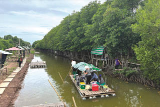 Du lịch sinh thái rừng ‘tỉnh giấc’