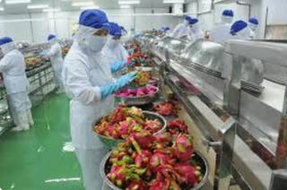 Nông sản Việt: Phát huy mặt hàng lợi thế, tăng tốc xuất khẩu