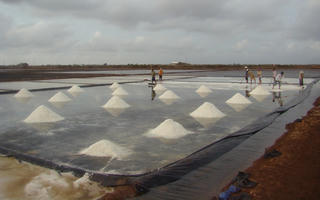 Định vị lại giá trị hạt muối