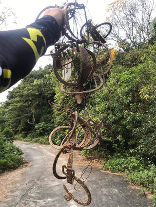 Đà Nẵng: Ám ảnh thú rừng dính bẫy ở Khu bảo tồn thiên nhiên Sơn Trà