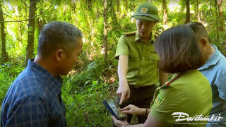 Trồng rừng FSC Thái Nguyên: Đầu tư nhỏ, nguồn lợi lớn