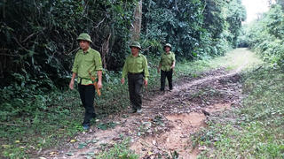 Giữ ‘lá phổi xanh’ ở Khe Tòng