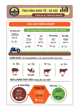 [INFOGRAPHIC] Tổng quan kinh tế Việt Nam tháng Hai và 2 tháng năm 2023