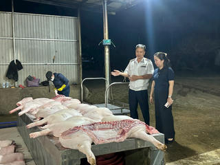 Đắk Lắk: Kiểm tra đột xuất cơ sở giết mổ