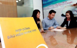 Thanh tra việc bán bảo hiểm chéo của 2 doanh nghiệp bảo hiểm nhân thọ