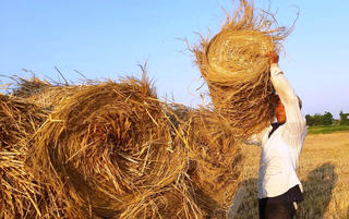 Ngày 14/8, nhiều tỉnh thành trên cả nước nắng nóng gay gắt 