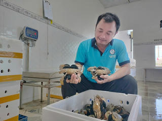 Nhiều kỷ lục chờ được xác lập tại Ngày hội cua Cà Mau lần 2