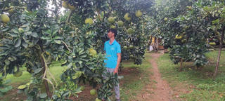 Tích hợp các chính sách để giảm nghèo bền vững