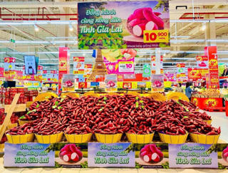 ‎Đồng hành cùng nông dân Gia Lai