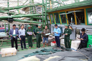 Cuộc chiến với tàu giã cào