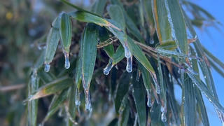 Không khí lạnh ảnh hưởng đến Trung Trung Bộ