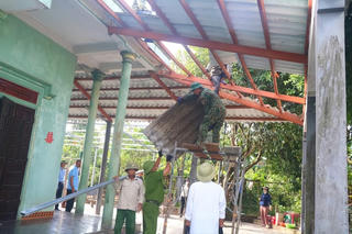 Hỗ trợ người dân di dời, nhường đất cho cao tốc Bắc – Nam