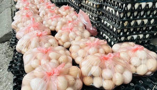 Tồn nhiều trứng gà, người chăn nuôi thành 'streamer bất đắc dĩ'