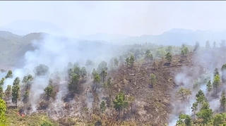 Điện Biên: Cảnh báo nguy cơ cháy rừng cấp nguy hiểm và cực kì nguy hiểm