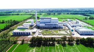 Hải Phòng: Đề xuất xây dựng Nhà máy đốt rác phát điện