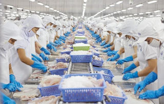 EU rộng cửa 'đón' thủy sản Việt