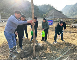 Cao Bằng - Bắc Kạn phát động ‘Tết trồng cây đời đời nhớ ơn Bác Hồ’