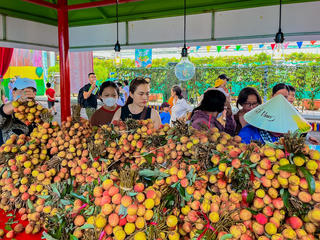 Nhiều hoạt động hấp dẫn tại Lễ hội Trái cây Nam bộ