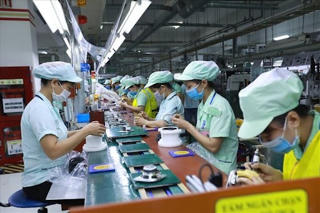 Cách nào tận dụng nguồn lao động trẻ?