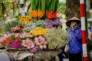 Festival Thu Hà Nội 2023 sẽ diễn ra vào cuối tháng 9 
