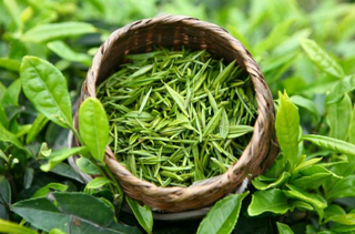 Từ bao giờ vậy? (Kỳ 7)