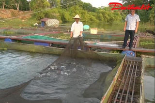 Thái Nguyên: Đánh thức tiềm năng nuôi trồng thuỷ sản