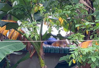 Nhân viên viễn thông tử vong khi sửa chữa đường dây mạng Internet