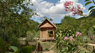 Nghĩ xanh và sống xanh