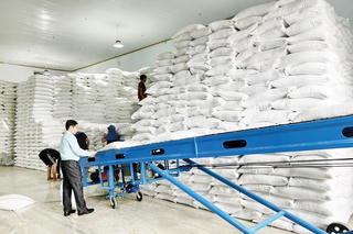 Cấp hơn 2.100 tấn gạo cho học sinh nghèo Bắc Kạn, Cao Bằng và Thái Nguyên