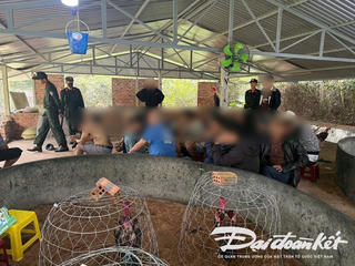 Quảng Nam: Bắt quả tang hơn 40 đối tượng tổ chức đá gà ăn tiền
