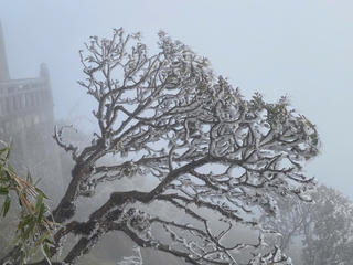 Miền Bắc sắp rét đậm, cơ quan cấp bộ phát đi cảnh báo