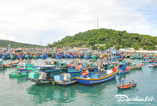 Quyết tâm gỡ thẻ vàng EC