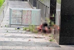 Người phụ nữ rơi từ tầng 25 của tòa chung cư xuống đất tử vong tại Hà Nội