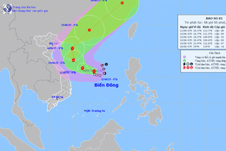Áp thấp nhiệt đới mạnh lên thành cơn bão số 01