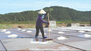 [ẢNH]Trên đồng muối