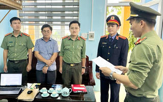 Quảng Bình: Khởi tố hàng loạt cán bộ liên quan đến đại án cây xanh